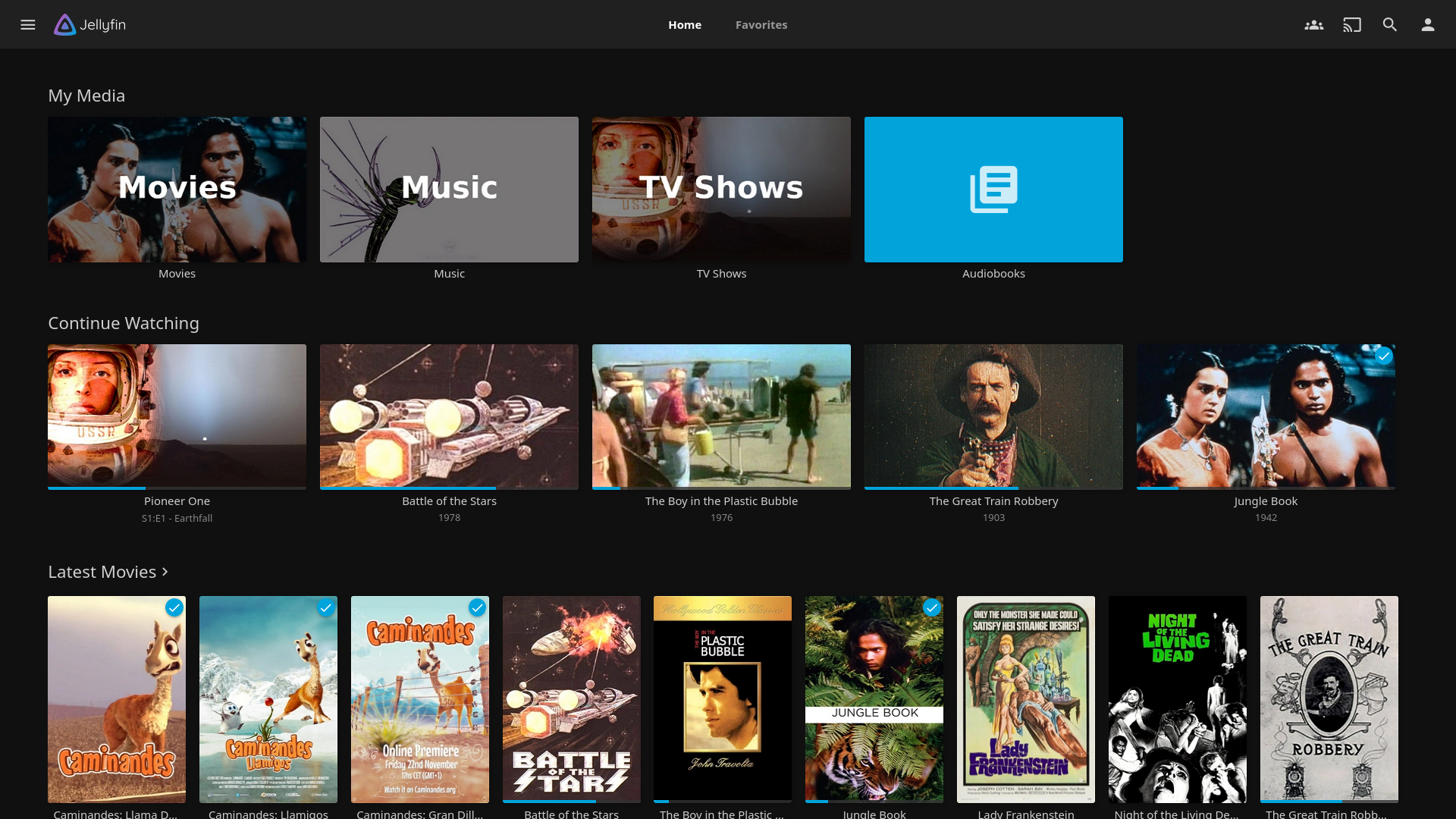 Jellyfin Home Screen